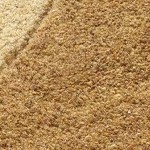 mustard, sage, rust, peach, darkbrown, dustycoral