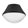Lark Haddie 1 - Light Flush Mount in  Black - 2 of 4