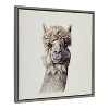 Kate and Laurel Sylvie Alpaca Framed Canvas by Ron Dunn, 22x22, Gray - 2 of 4