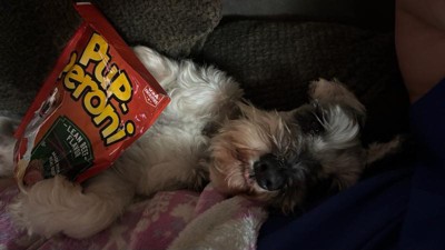 Guest review image 2 of 4, zoom in