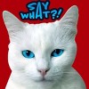 Junior's Design By Humans Cat grumpy face: Say What?! By GTRobert T-Shirt - 2 of 3