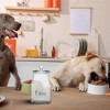 Amici Pet Glass Canister, Love Print with Paw Design - 52 Oz. Airtight Food Storage Jar with Push Top Lid & Knob Handle - 4.5”D x 8.5”H - 2 of 4
