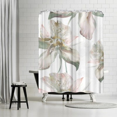 Americanflat Silk Blush Ii by Pi Creative Art 71" x 74" Shower Curtain