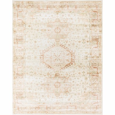 Hauteloom Laran Rust Distressed Washable Area Rug