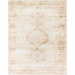 Hauteloom Laran Rust Distressed Washable Area Rug - 1 of 4