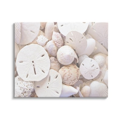 Stupell Industries White Mixed Sand Dollar Shells Canvas Wall Art