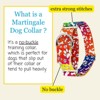 Country Brook Petz HossFit Jr Wide Martingale Dog Collar - Groovy Collection - 2 of 4