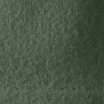 fresh evergreen