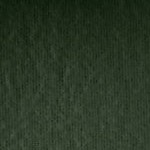 fresh evergreen