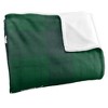 Mississippi Valley State University Campus Plaid Spirit Silky Touch Super Soft Throw Blanket 50x60 - 3 of 4