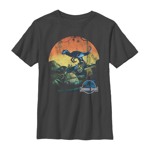 Boy's Jurassic World Retro Dinosaur Sunset T-shirt - Charcoal - X Small ...