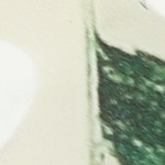 transparent dark green