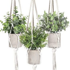 Aoibox 3 Pack Mini Fake Hanging Plants with Macrame Hangers, Artificial Greenery Decor for Wall Kitchen Bathroom Home Office - 1 of 4