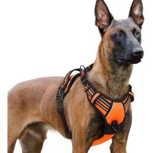 rabbitgoo Dog Harness for Large, No Pull Pet Harness with 3 Buckles, , Walking Reflective Pet Vest for Extra Large Dogs, Orange, XL - 1 of 1
