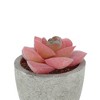 Unique Bargains Artificial Plants Mini Graptoveria in Pulp Plastic 2.36"x2.36"x3.15" 1 Pcs - 4 of 4