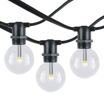 Novelty Lights Globe Outdoor String Lights with 25 Bulbs G30 Vintage Bulbs Black Wire 25 Feet
