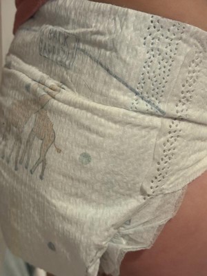 Guest review image 2 of 3, zoom in