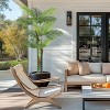 homfan 6/7FT Faux Tall Palm Tree, Triple Golden Cane Palm Trees,Large Artificial Tree Faux Plants with White Round Planter Pot Moss 1 Pack - 4 of 4