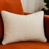 TopComfy Support Pillow Homey Cozy Textured Throw Pillow for Minimalist and Serene Interiors, Beige, 17"*17"*10" - 3 of 4