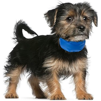 PETMAKER Cooling Pet Collarup to 8" - Blue