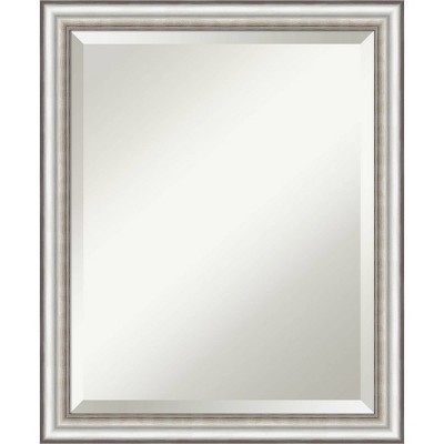 Amanti Art 19"x23" Beveled Salon Silver Narrow Wall Mirror: Vanity, Bathroom, No Assembly Required