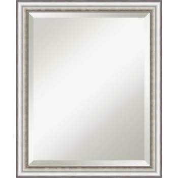 19" x 23" Beveled Salon Silver Narrow Wall Mirror - Amanti Art