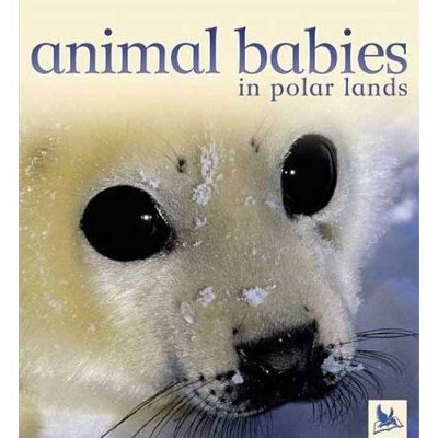 Animal Babies in Polar Lands - by  Kingfisher Books (Board Book)