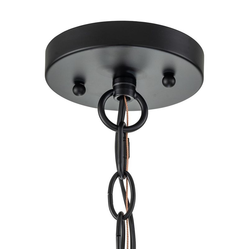 C Cattleya 6-Light Black Chandelier with Clear Glass Globes, 3 of 8