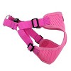 Doggie Design Wrap and Snap Choke Free Dog Harness - Candy Pink - 4 of 4