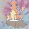 Boy's Pokemon Charmander on Tree Stump T-Shirt - 2 of 4