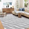 WhizMax Modern Area Rug AbstractSoft Fluffy Throw Carpet Accent Rug for Living Room Bedroom - 3 of 4