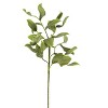 Green Leafy Flower Stems 40.5"H – Flexible EVA Foam & Wire Floral Arrangement (Set of 6) By Kalalou - 3 of 3