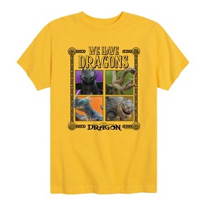 Boys' - How to Train Your Dragon - We Have Dragons Short Sleeve Graphic T-Shirt - 1 of 4
