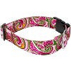 Country Brook Petz 1 1/2 Inch Deluxe Dog Collar - Paisley Collection - 4 of 4