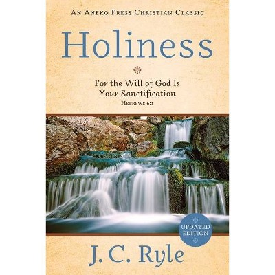 Holiness - by  J C Ryle (Paperback)