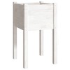 vidaXL Garden Planters 2 pcs White 60x31x31 cm Solid Pinewood - 2 of 4