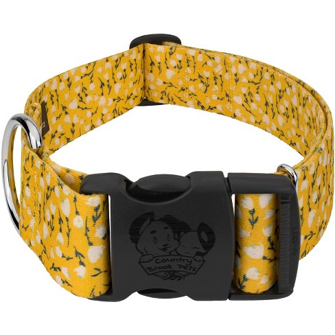 Aesthetic Dog Collar 