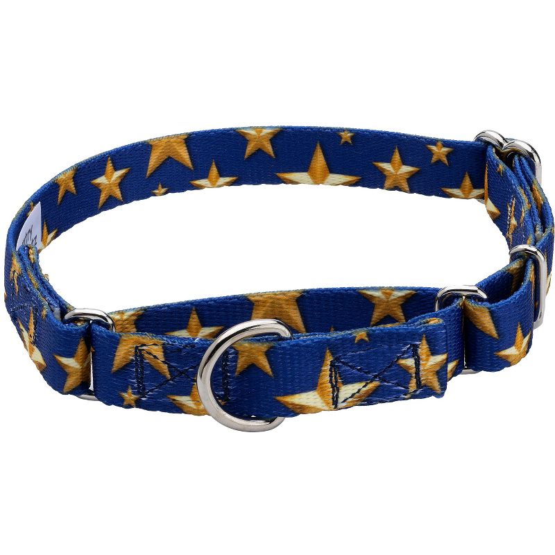 Country Brook Petz Duty Honor Country Martingale Dog Collar, 1 of 8