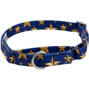 Country Brook Petz Duty Honor Country Martingale Dog Collar