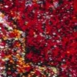 red/multi
