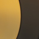 black/gold