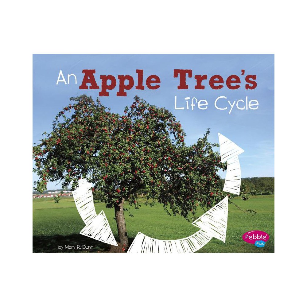 An Apple Trees Life Cycle - (Explore Life Cycles) by Mary R Dunn (Paperback)