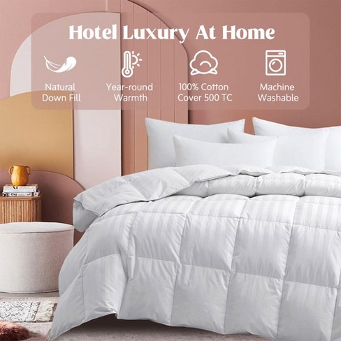 Hotel Grand All Season 500 Thread Count Feather 2024 And Down Comforter