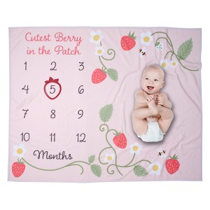 Lambs & Ivy Strawberry Patch Milestone Photo Opportunity Fleece Baby Blanket - 1 of 4