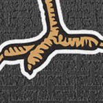 st louis cardinals 1950s