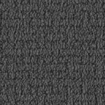 st louis cardinals 1950s