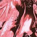 chocolate coral marble