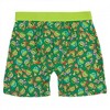 Mens Teenage Mutant Ninja Turtles Boxer Briefs in Pizza Box - 2 of 4