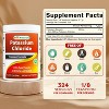 Best Naturals Potassium Chloride Pure Powder 1 Pound - 2 of 4