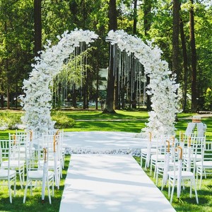 Garden Arch Trellis for Climbing Plants,9.8'x7.2' Metal Garden Arbor with Base,Outdoor Metal Wedding Arches for Party Decoration - 1 of 4